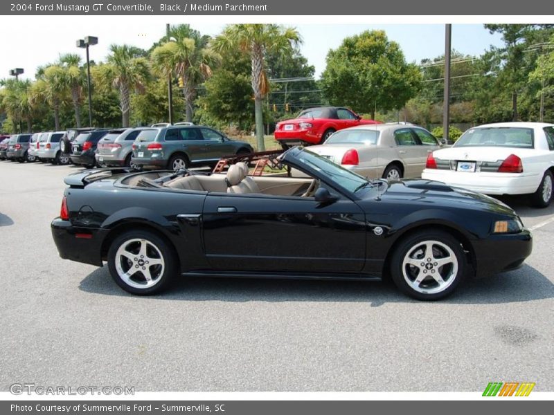 Black / Medium Parchment 2004 Ford Mustang GT Convertible