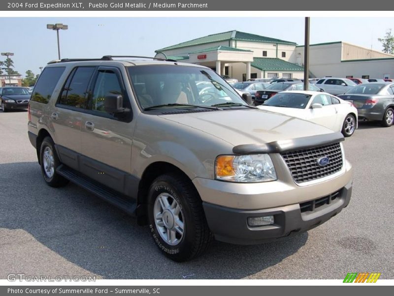 Pueblo Gold Metallic / Medium Parchment 2004 Ford Expedition XLT