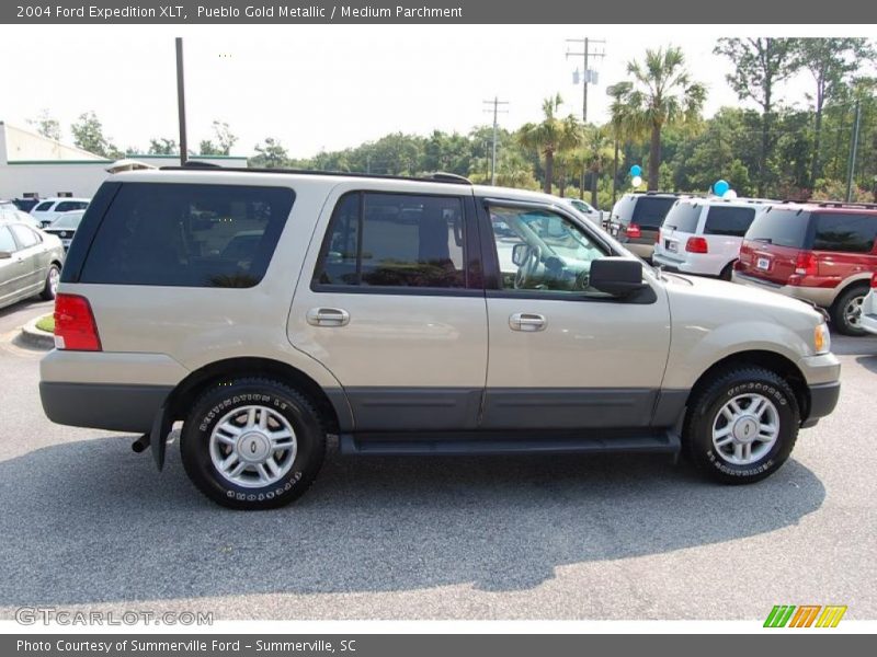 Pueblo Gold Metallic / Medium Parchment 2004 Ford Expedition XLT