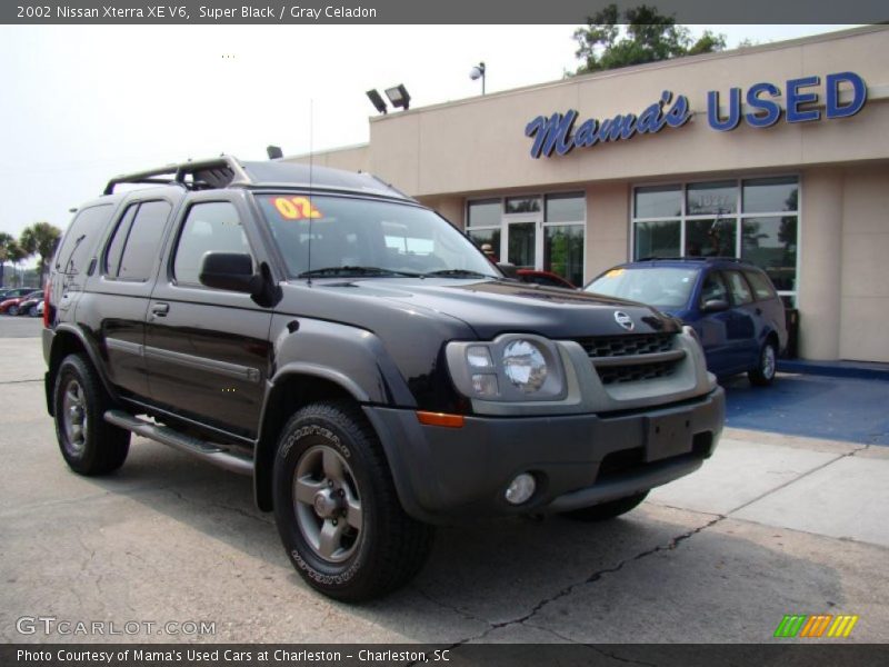 Super Black / Gray Celadon 2002 Nissan Xterra XE V6