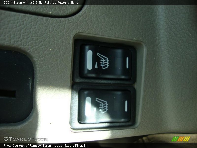 Polished Pewter / Blond 2004 Nissan Altima 2.5 SL