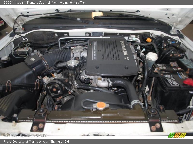 Alpine White / Tan 2000 Mitsubishi Montero Sport LS 4x4