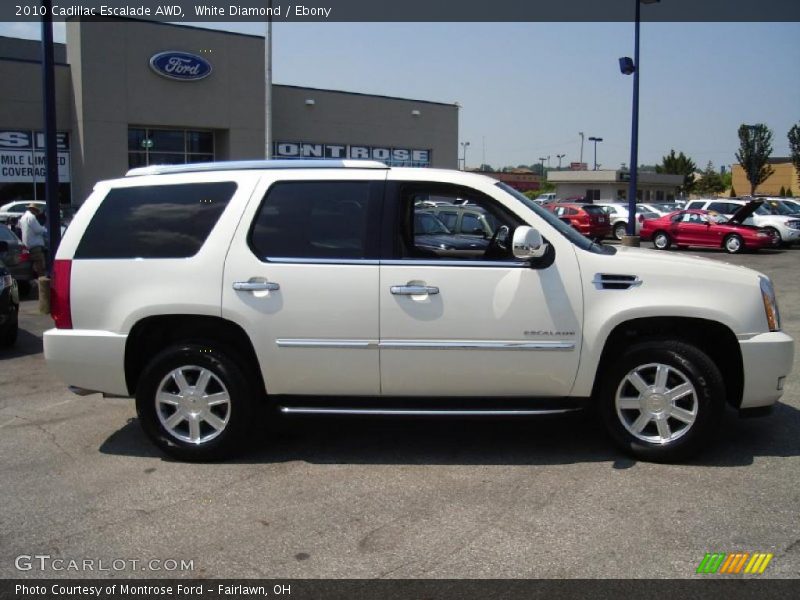 White Diamond / Ebony 2010 Cadillac Escalade AWD