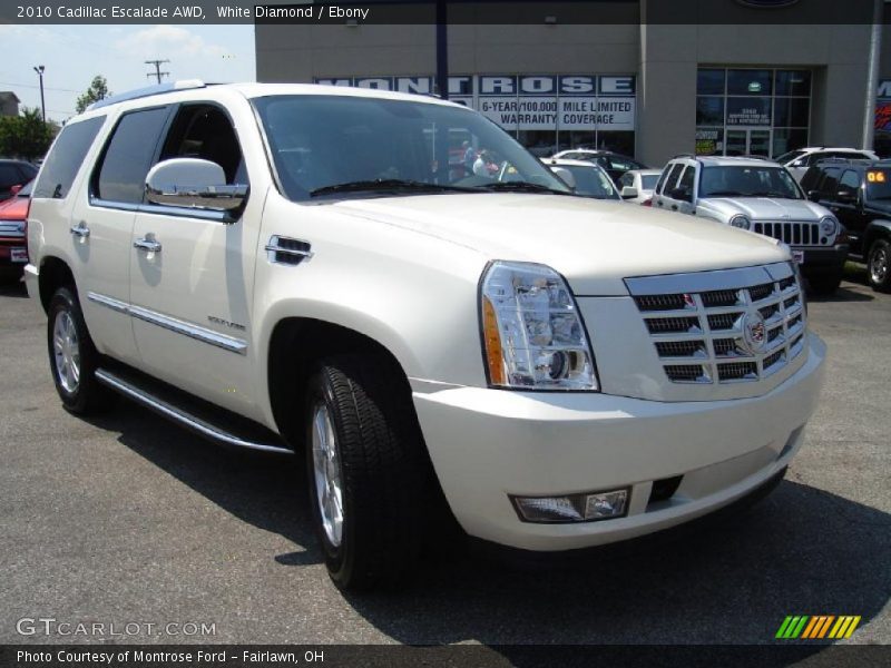 White Diamond / Ebony 2010 Cadillac Escalade AWD