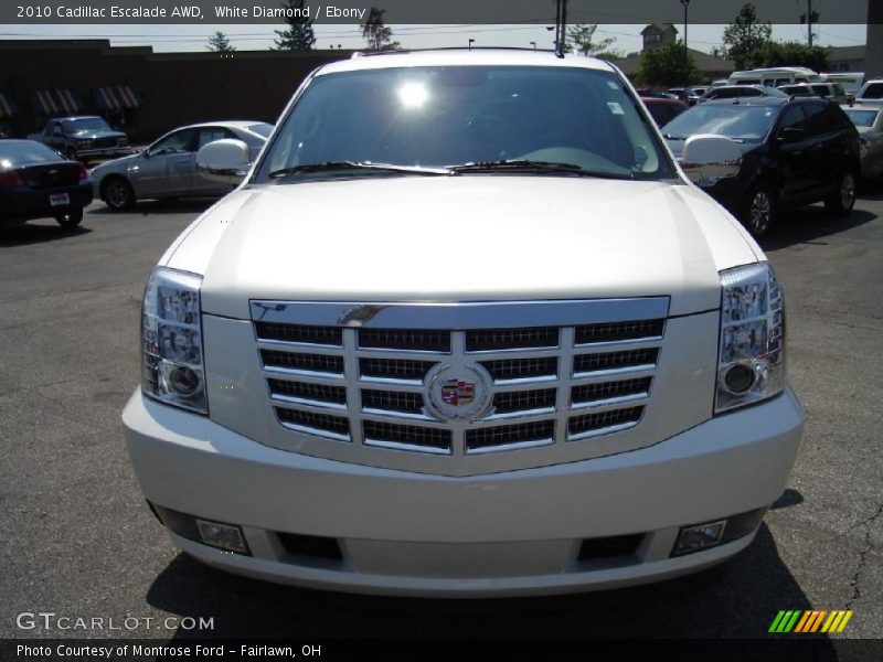 White Diamond / Ebony 2010 Cadillac Escalade AWD