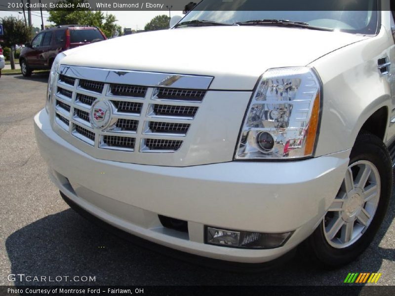 White Diamond / Ebony 2010 Cadillac Escalade AWD