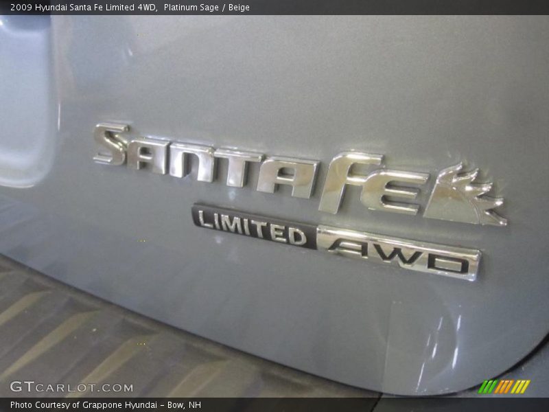 Platinum Sage / Beige 2009 Hyundai Santa Fe Limited 4WD