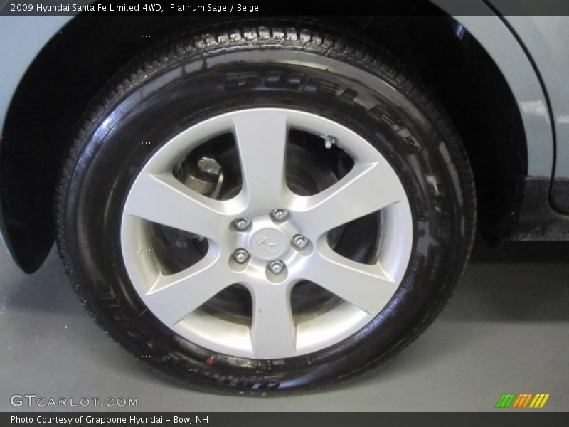 Platinum Sage / Beige 2009 Hyundai Santa Fe Limited 4WD