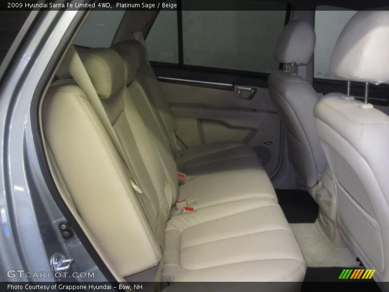 Platinum Sage / Beige 2009 Hyundai Santa Fe Limited 4WD