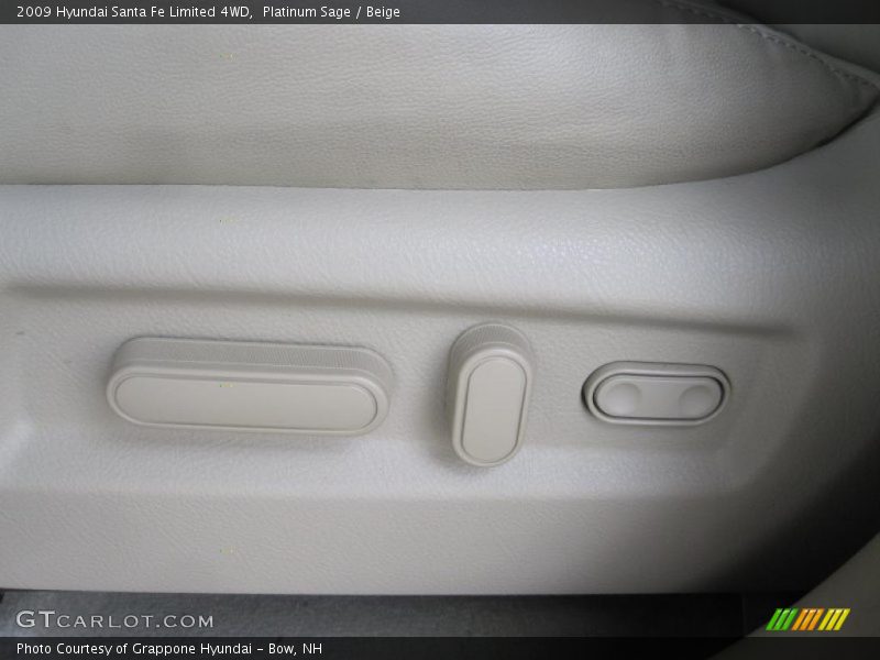 Platinum Sage / Beige 2009 Hyundai Santa Fe Limited 4WD