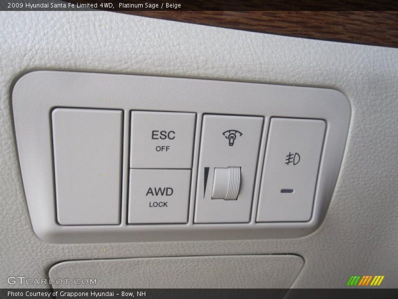 Platinum Sage / Beige 2009 Hyundai Santa Fe Limited 4WD