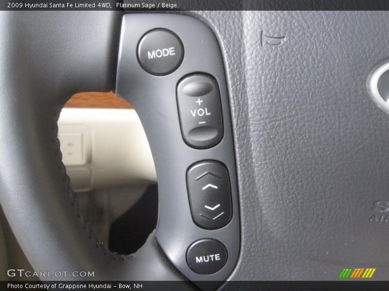 Platinum Sage / Beige 2009 Hyundai Santa Fe Limited 4WD
