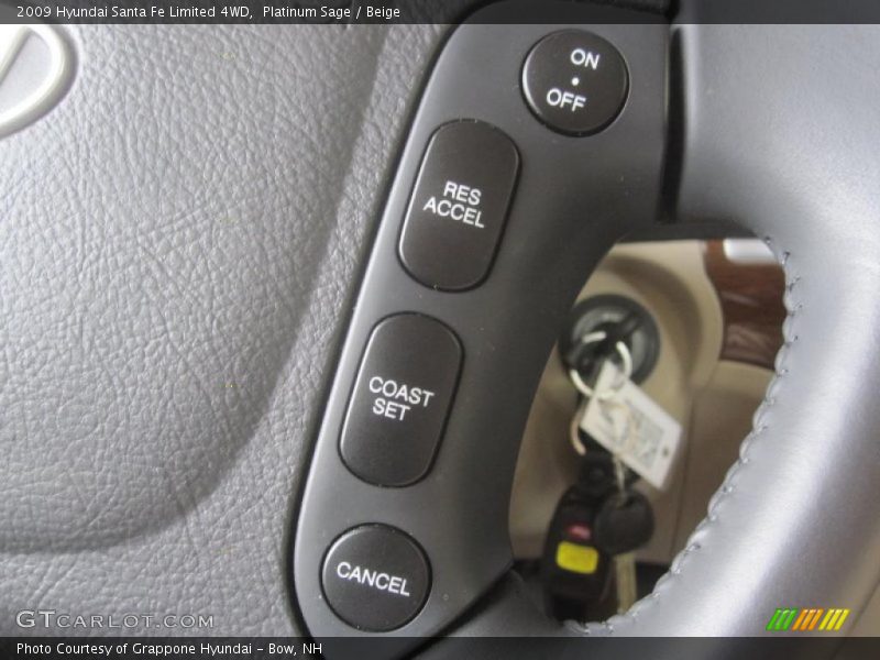 Platinum Sage / Beige 2009 Hyundai Santa Fe Limited 4WD