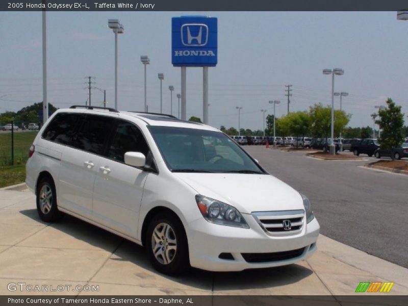 Taffeta White / Ivory 2005 Honda Odyssey EX-L