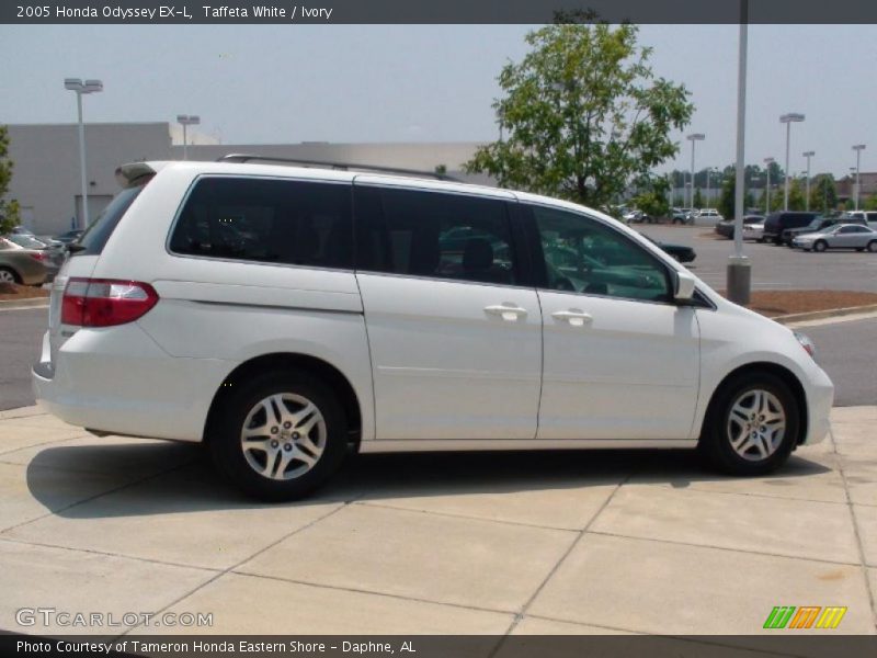 Taffeta White / Ivory 2005 Honda Odyssey EX-L