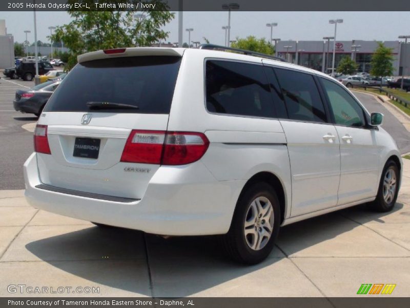 Taffeta White / Ivory 2005 Honda Odyssey EX-L