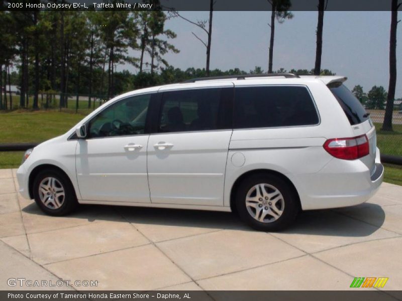 Taffeta White / Ivory 2005 Honda Odyssey EX-L