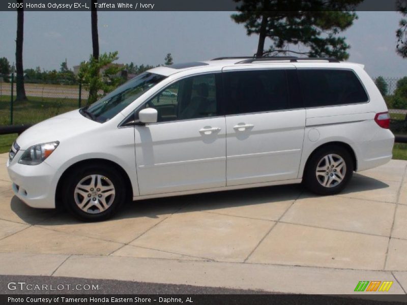 Taffeta White / Ivory 2005 Honda Odyssey EX-L