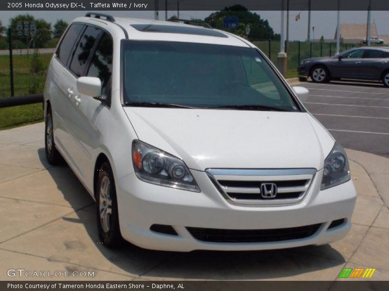 Taffeta White / Ivory 2005 Honda Odyssey EX-L