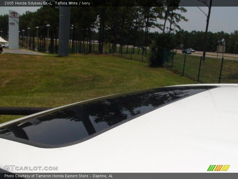 Taffeta White / Ivory 2005 Honda Odyssey EX-L