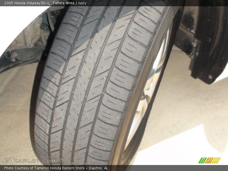 Taffeta White / Ivory 2005 Honda Odyssey EX-L