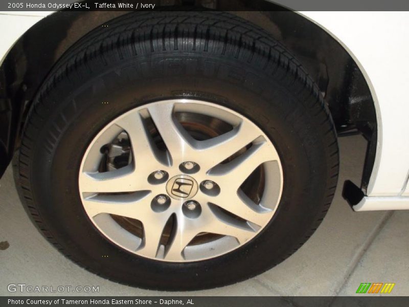 Taffeta White / Ivory 2005 Honda Odyssey EX-L
