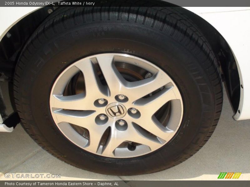 Taffeta White / Ivory 2005 Honda Odyssey EX-L