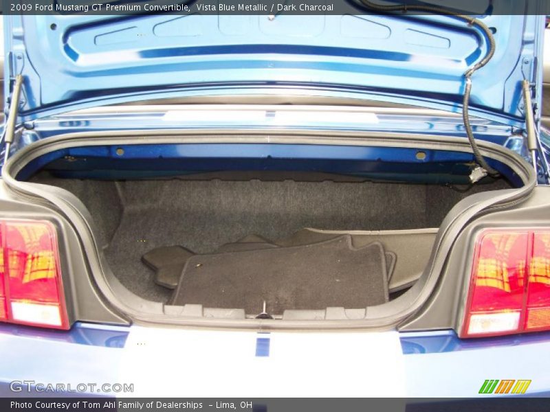 Vista Blue Metallic / Dark Charcoal 2009 Ford Mustang GT Premium Convertible