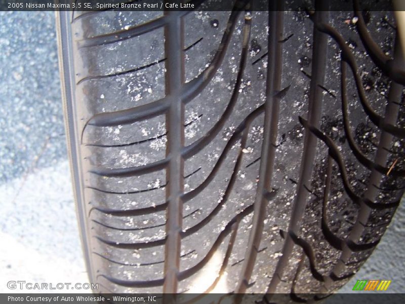 Spirited Bronze Pearl / Cafe Latte 2005 Nissan Maxima 3.5 SE