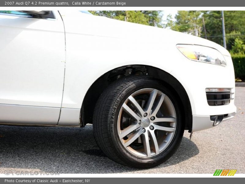 Calla White / Cardamom Beige 2007 Audi Q7 4.2 Premium quattro