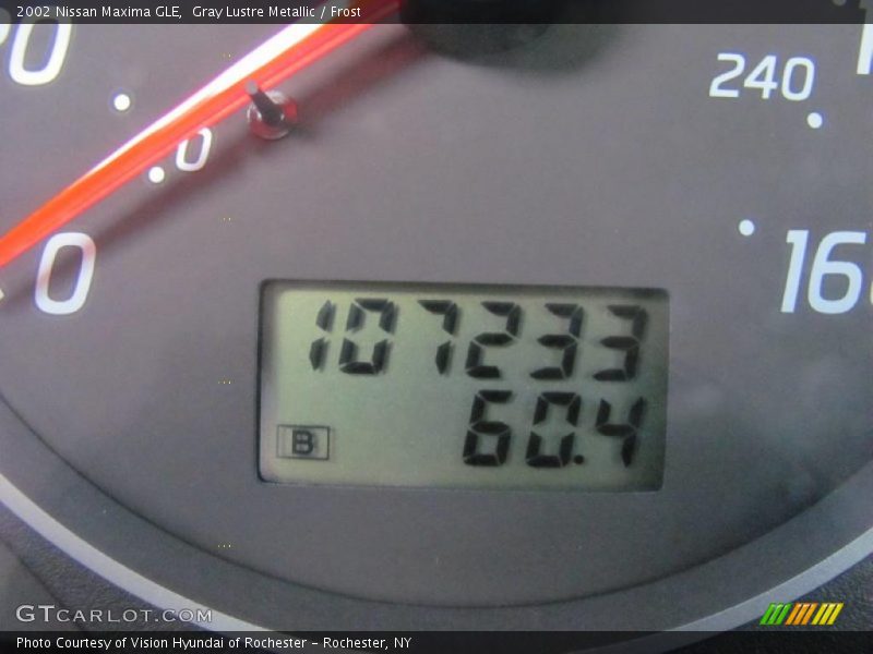 Gray Lustre Metallic / Frost 2002 Nissan Maxima GLE