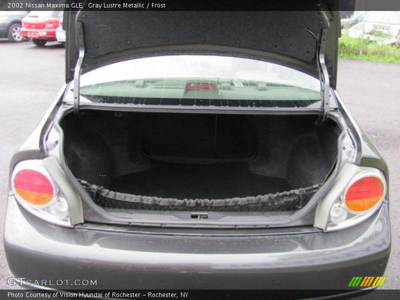 Gray Lustre Metallic / Frost 2002 Nissan Maxima GLE