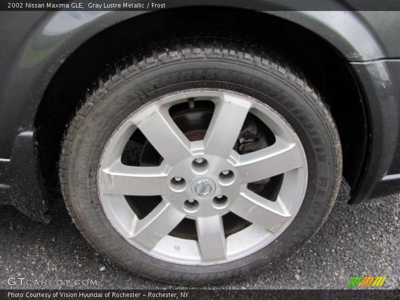 Gray Lustre Metallic / Frost 2002 Nissan Maxima GLE