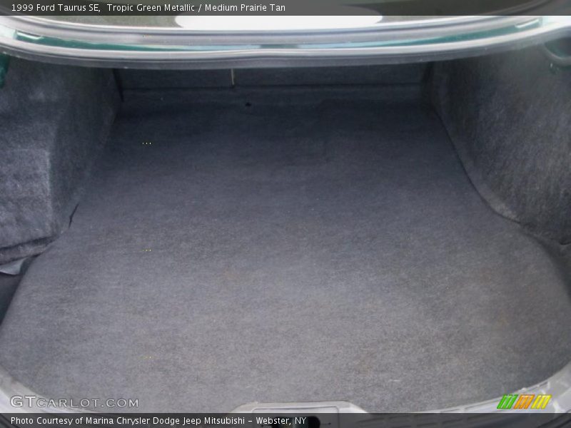 Tropic Green Metallic / Medium Prairie Tan 1999 Ford Taurus SE