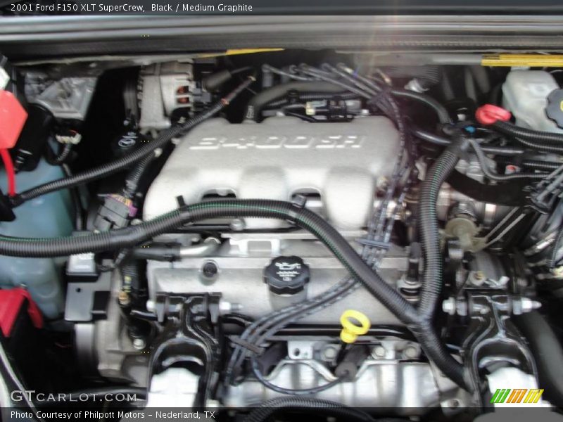 Black / Medium Graphite 2001 Ford F150 XLT SuperCrew