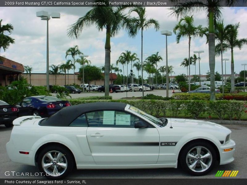 Performance White / Black/Dove 2009 Ford Mustang GT/CS California Special Convertible