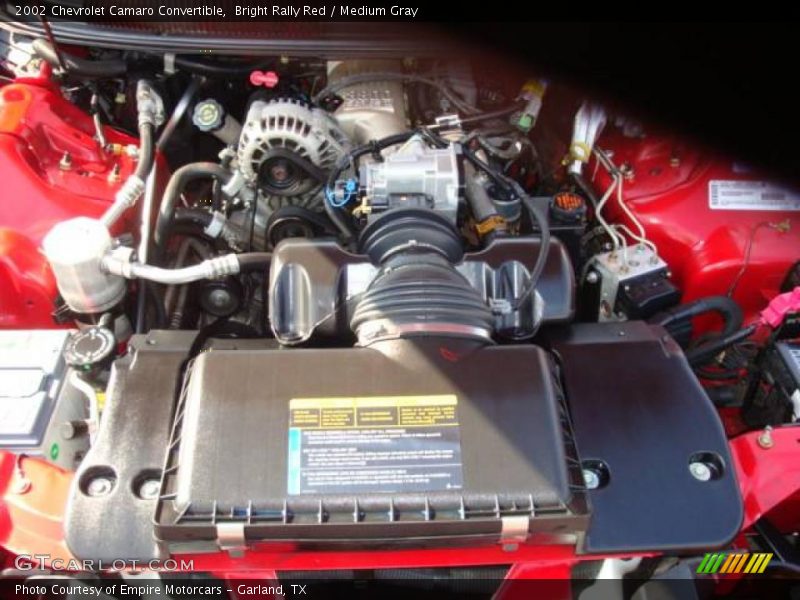 Bright Rally Red / Medium Gray 2002 Chevrolet Camaro Convertible