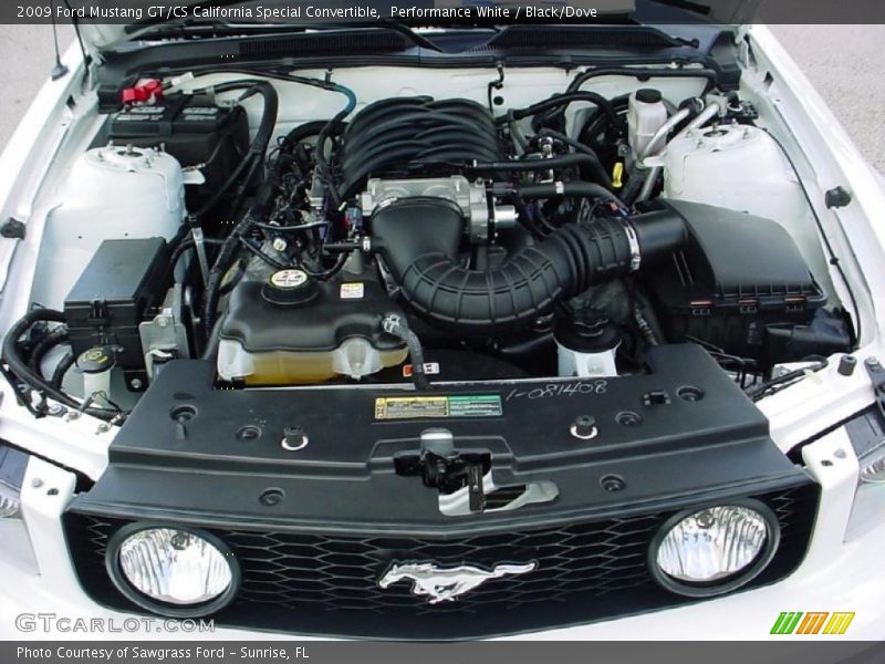 Performance White / Black/Dove 2009 Ford Mustang GT/CS California Special Convertible