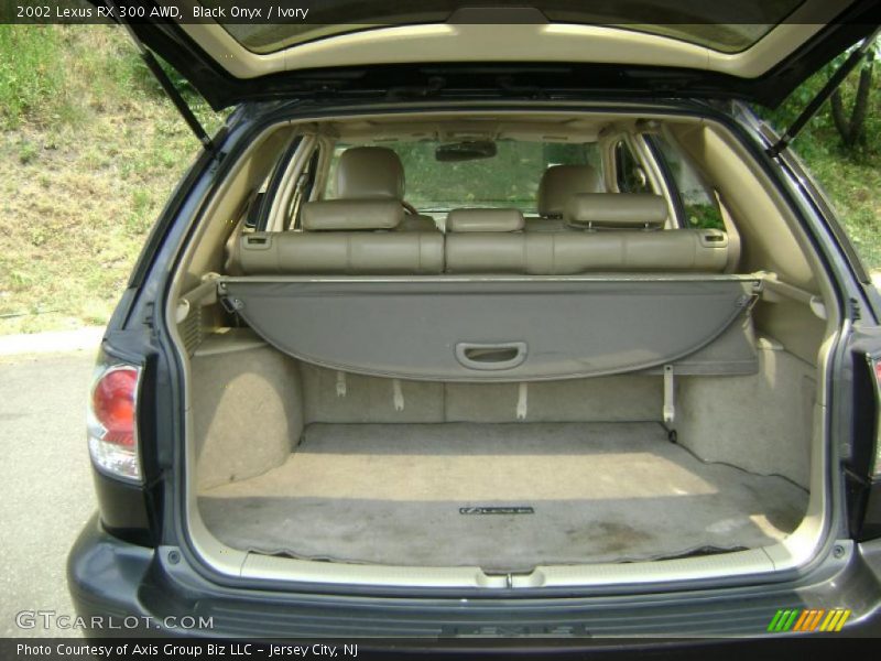 Black Onyx / Ivory 2002 Lexus RX 300 AWD