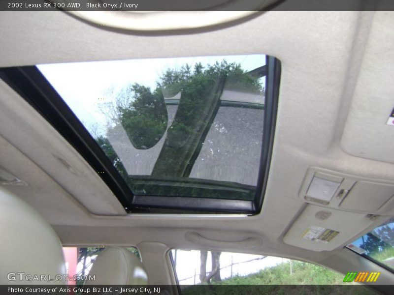 Black Onyx / Ivory 2002 Lexus RX 300 AWD