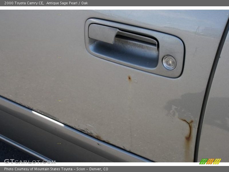 Antique Sage Pearl / Oak 2000 Toyota Camry CE