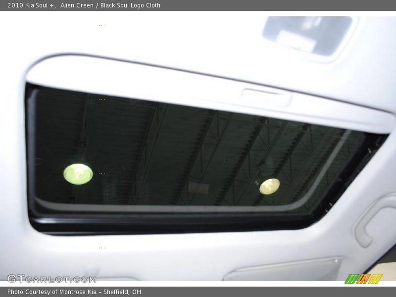 Alien Green / Black Soul Logo Cloth 2010 Kia Soul +