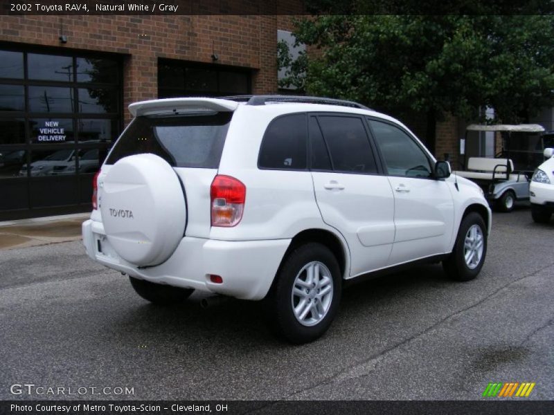 Natural White / Gray 2002 Toyota RAV4