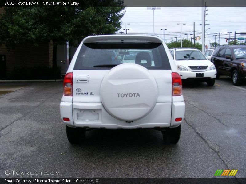 Natural White / Gray 2002 Toyota RAV4