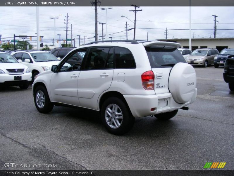 Natural White / Gray 2002 Toyota RAV4