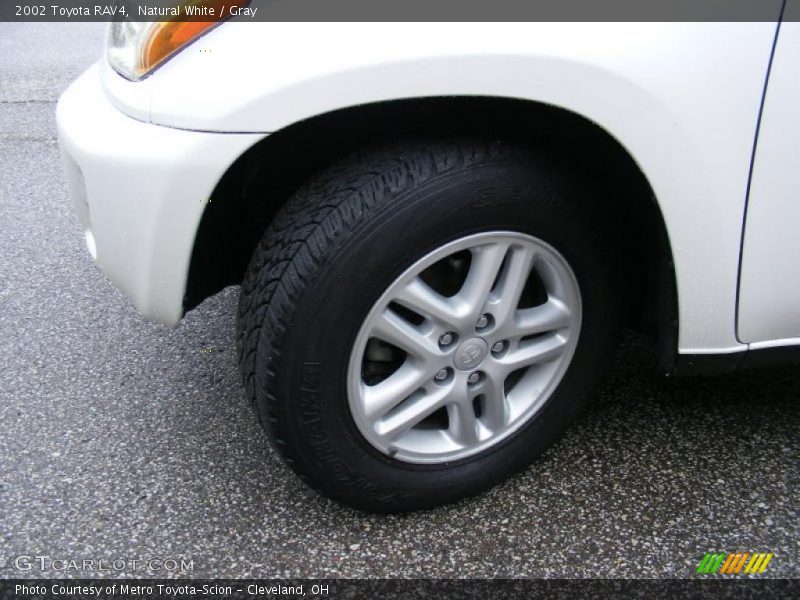 Natural White / Gray 2002 Toyota RAV4
