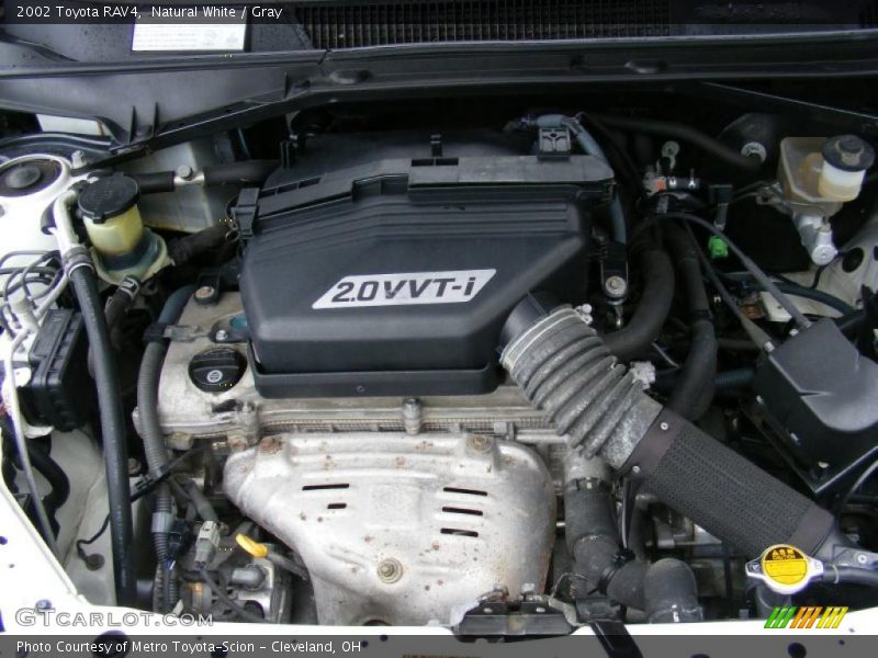Natural White / Gray 2002 Toyota RAV4