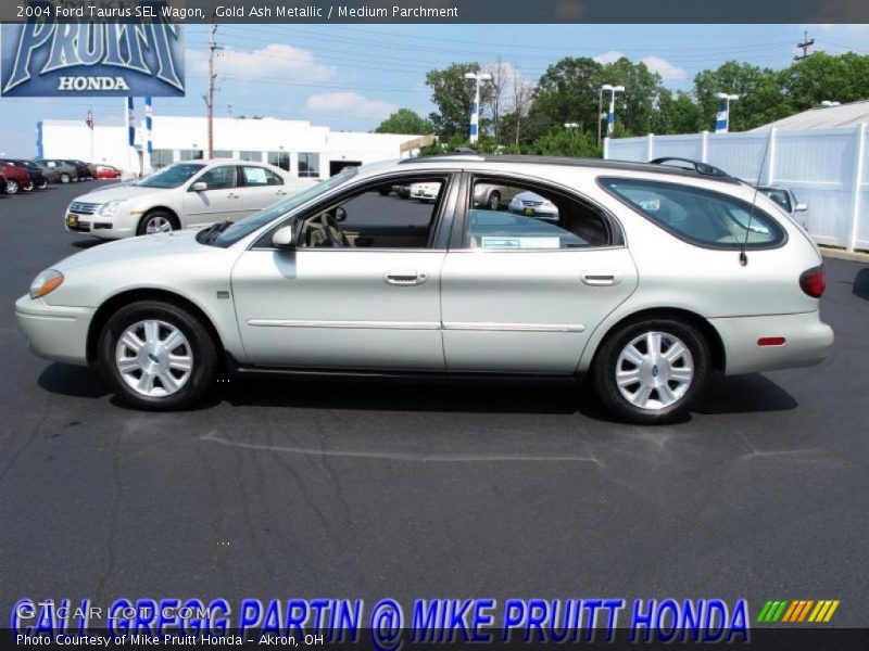 Gold Ash Metallic / Medium Parchment 2004 Ford Taurus SEL Wagon