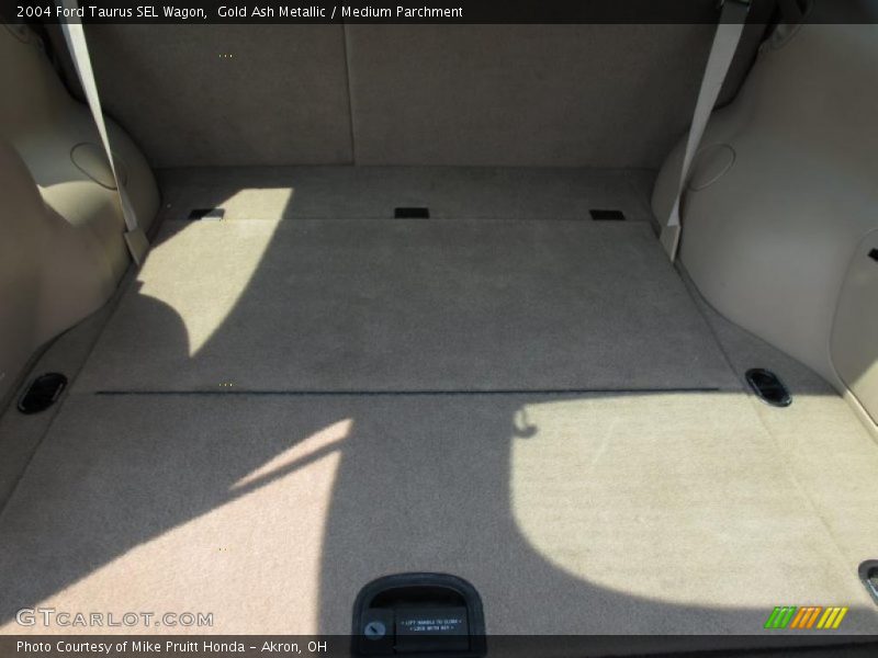 Gold Ash Metallic / Medium Parchment 2004 Ford Taurus SEL Wagon