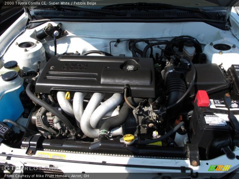 Super White / Pebble Beige 2000 Toyota Corolla CE